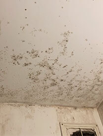 Удаление плесени на&nbsp;потолке в&nbsp;ванной